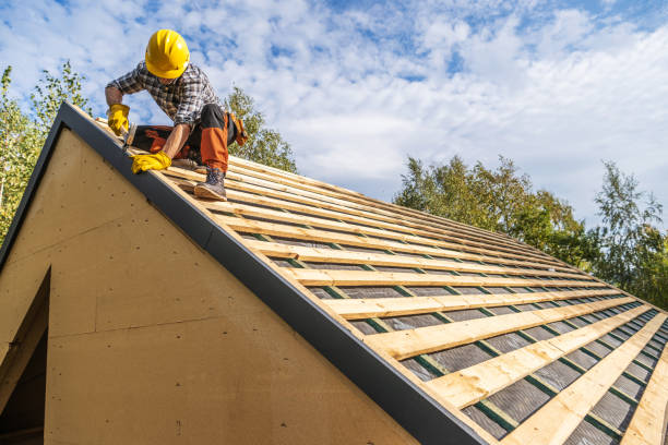 Roof Gutter Cleaning in Hickory Creek, TX