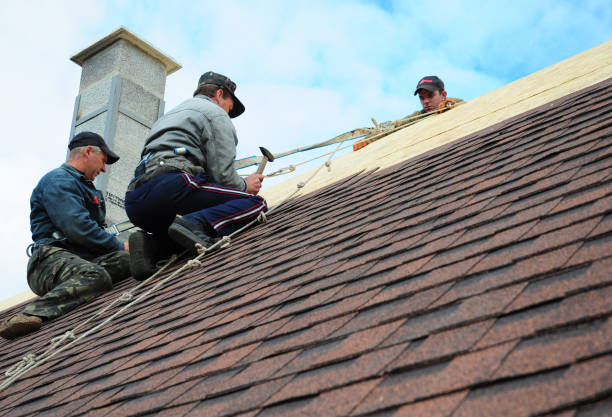Professional Roofing Contractor in Hickory Creek, TX