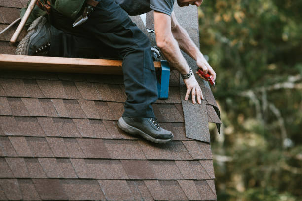 Roof Gutter Cleaning in Hickory Creek, TX